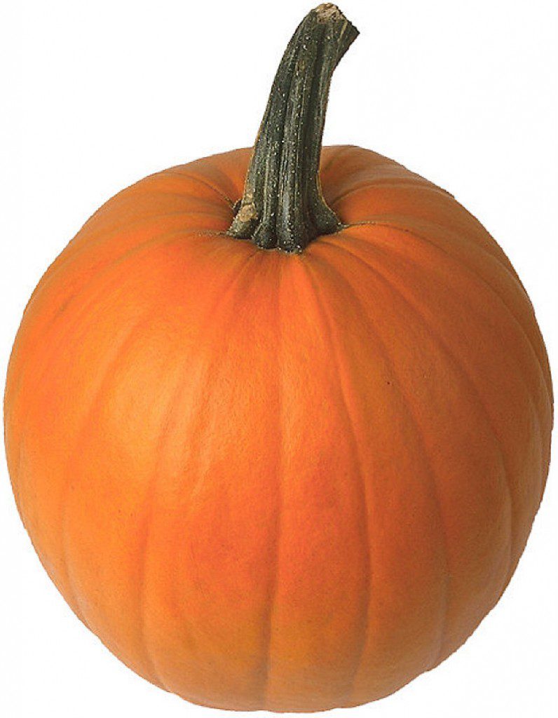 pumpkins9