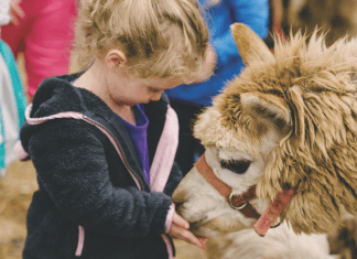 Madison Kids Expo | March 7-8, 2020