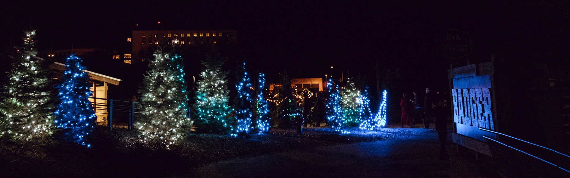 THE ZOO LIGHTS AT HENRY VILAS ZOO ARE A MUSTVISIT