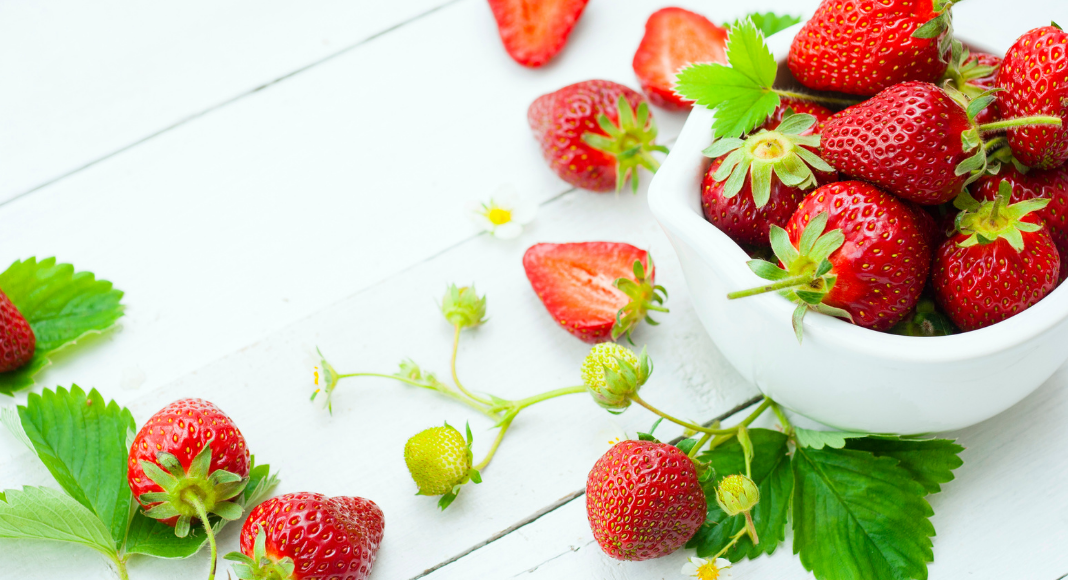 Greater Madison Area Guide To Berry Farms Pick Your Own Berries