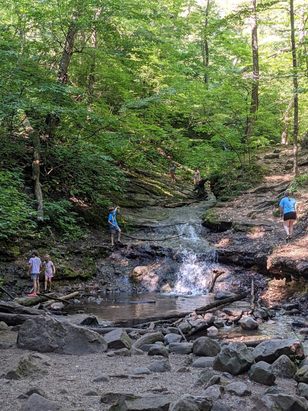 Go, See, Explore: Parfrey's Glen State Natural Area