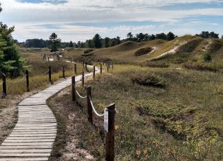 Go, See, Explore: Kohler Andrae State Park and Other Nearby Attractions