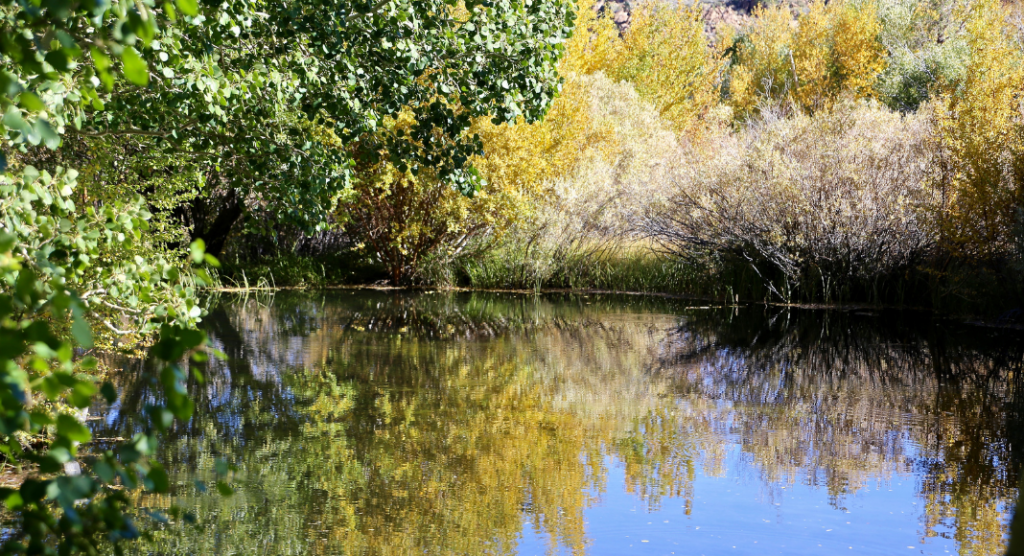 Go, See, Explore: Donald County Park