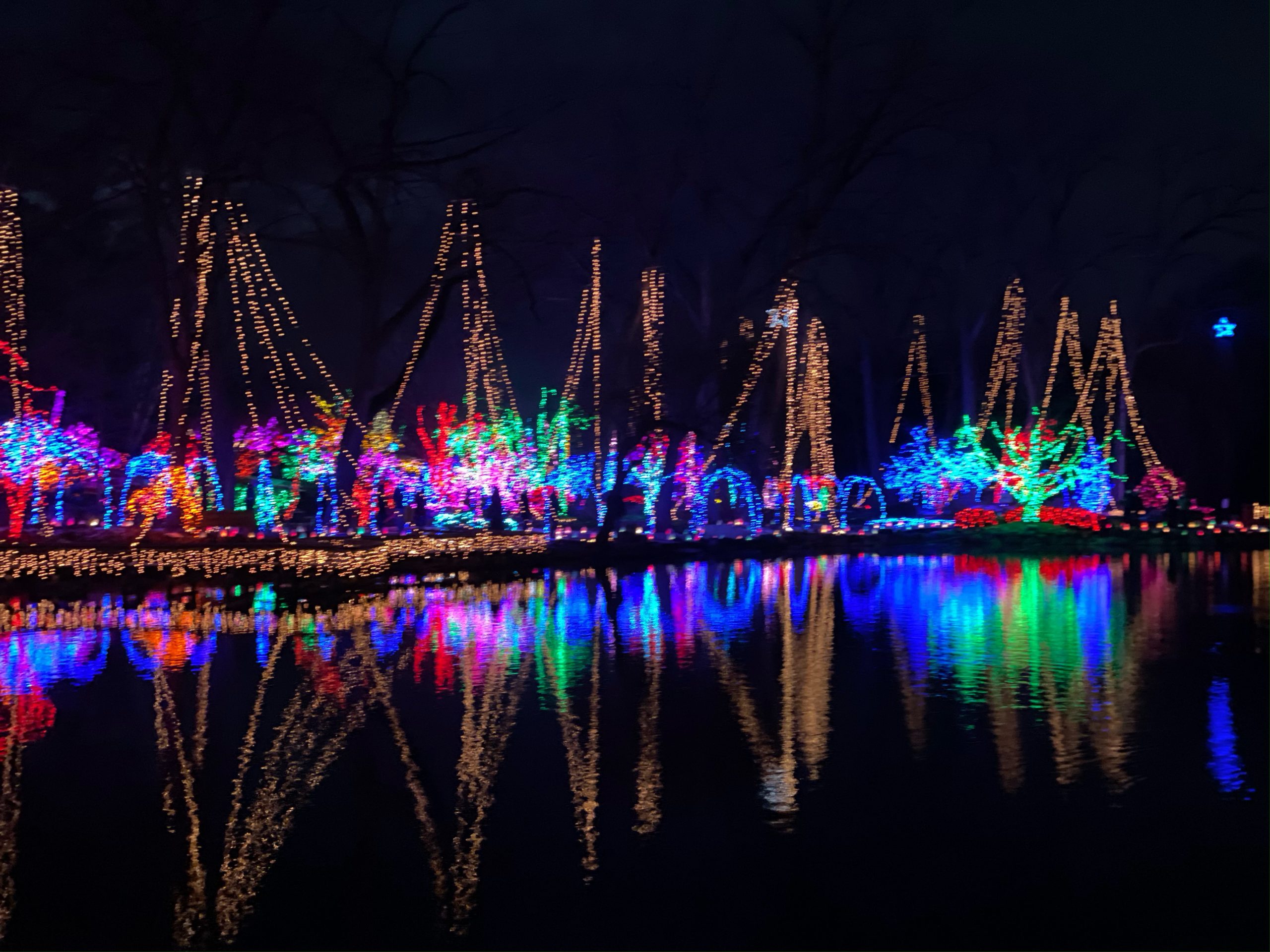 Where to See Holiday Lights In + Around Madison, WI
