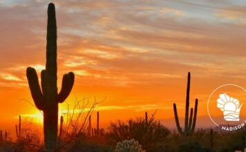 VISITING SCOTTSDALE, AZ WITH YOUR FAMILY