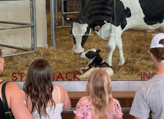 4 EVENTS TO CHECK OUT THIS SUMMER AT WISCONSIN FARM DISCOVERY CENTER