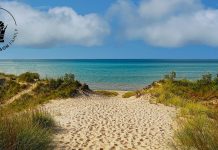 FAMILY ROADTRIP: INDIANA DUNES NATIONAL PARK