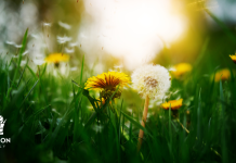 EXPLORE WISCONSIN ALL SUMMER LONG WITH THE NEW NATURE PASSPORT FROM ALDO LEOPOLD NATURE CENTER