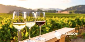 7 WINERIES TO VISIT THIS SUMMER NEAR MADISON, WI