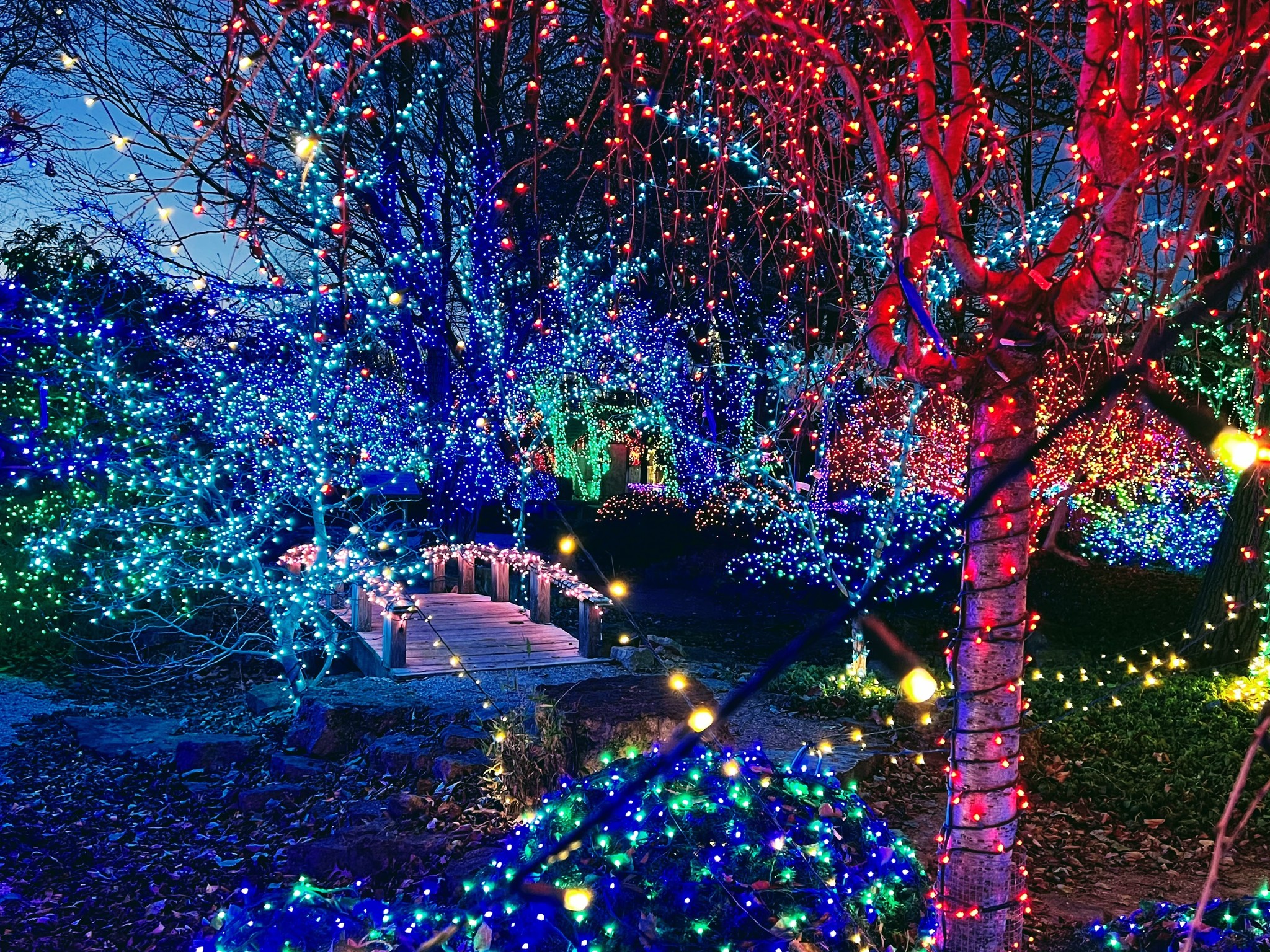 GO, SEE, EXPLORE: THE ROTARY BOTANICAL GARDENS IN JANESVILLE, WI